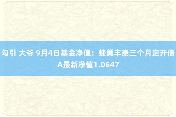 勾引 大爷 9月4日基金净值：蜂巢丰泰三个月定开债A最新净值1.0647