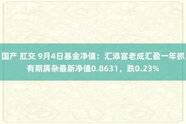 国产 肛交 9月4日基金净值：汇添富老成汇盈一年抓有期羼杂最新净值0.8631，跌0.23%
