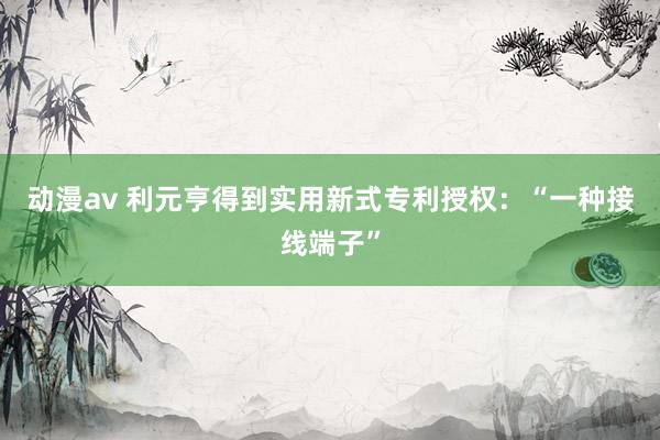 动漫av 利元亨得到实用新式专利授权：“一种接线端子”