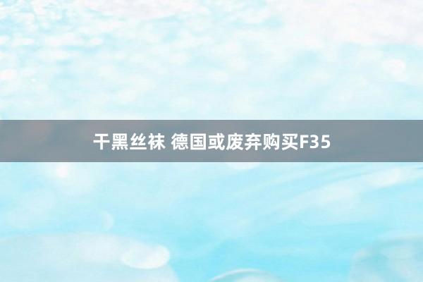 干黑丝袜 德国或废弃购买F35