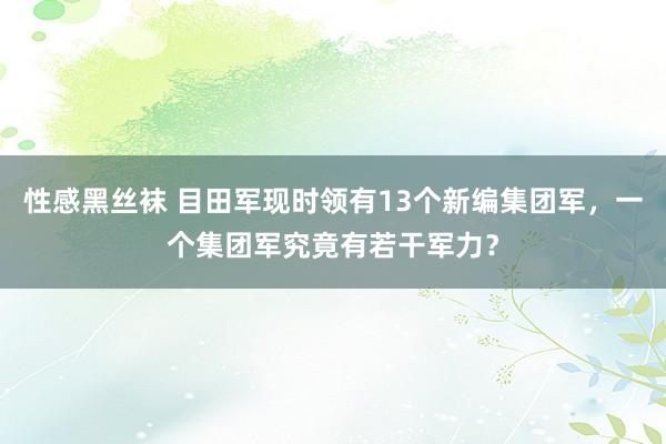 性感黑丝袜 目田军现时领有13个新编集团军，一个集团军究竟有若干军力？