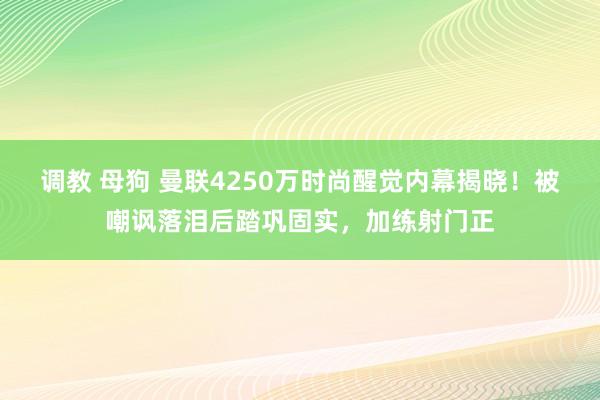 调教 母狗 曼联4250万时尚醒觉内幕揭晓！被嘲讽落泪后踏巩固实，加练射门正