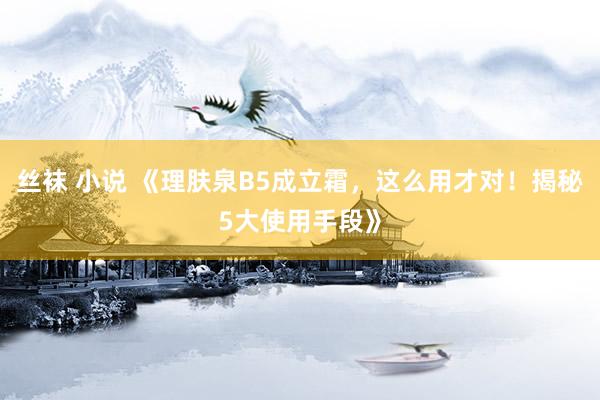 丝袜 小说 《理肤泉B5成立霜，这么用才对！揭秘5大使用手段》