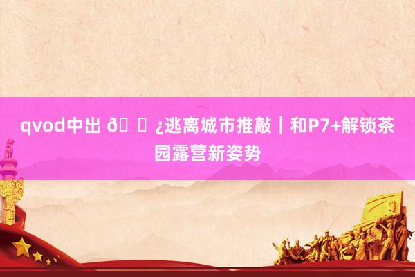 qvod中出 🌿逃离城市推敲|和P7+解锁茶园露营新姿势