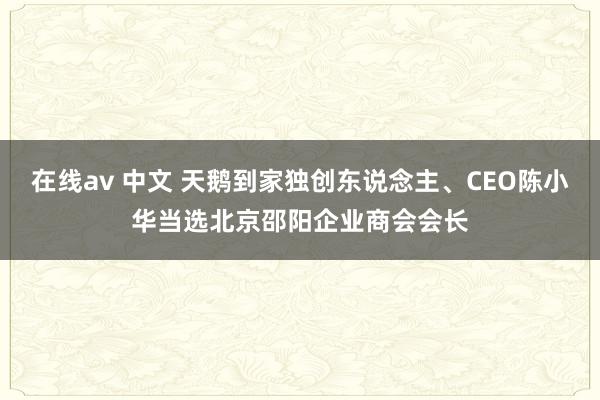 在线av 中文 天鹅到家独创东说念主、CEO陈小华当选北京邵阳企业商会会长