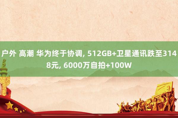户外 高潮 华为终于协调, 512GB+卫星通讯跌至3148元, 6000万自拍+100W