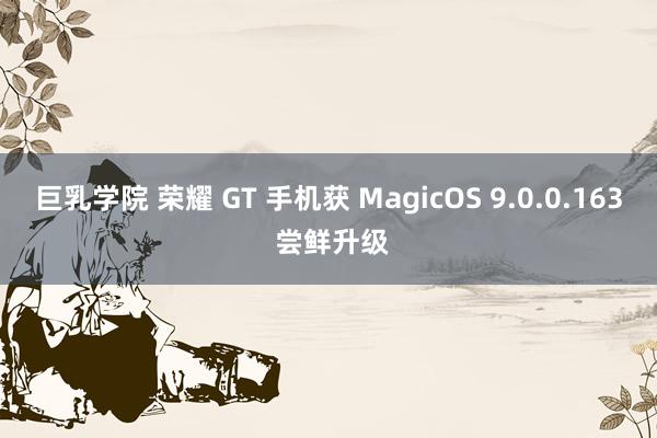 巨乳学院 荣耀 GT 手机获 MagicOS 9.0.0.163 尝鲜升级