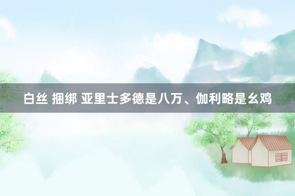 白丝 捆绑 亚里士多德是八万、伽利略是幺鸡