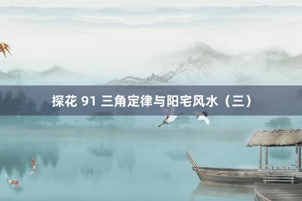 探花 91 三角定律与阳宅风水（三）