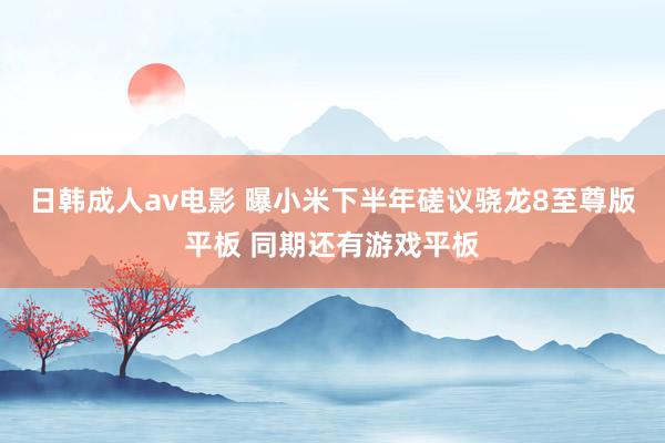 日韩成人av电影 曝小米下半年磋议骁龙8至尊版平板 同期还有游戏平板