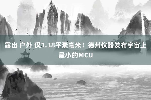 露出 户外 仅1.38平素毫米！德州仪器发布宇宙上最小的MCU