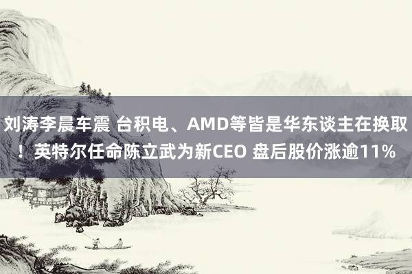 刘涛李晨车震 台积电、AMD等皆是华东谈主在换取！英特尔任命陈立武为新CEO 盘后股价涨逾11%