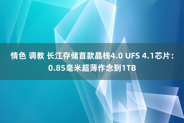 情色 调教 长江存储首款晶栈4.0 UFS 4.1芯片：0.85毫米超薄作念到1TB